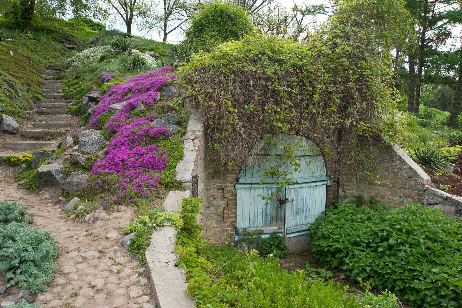 Keller im Garten