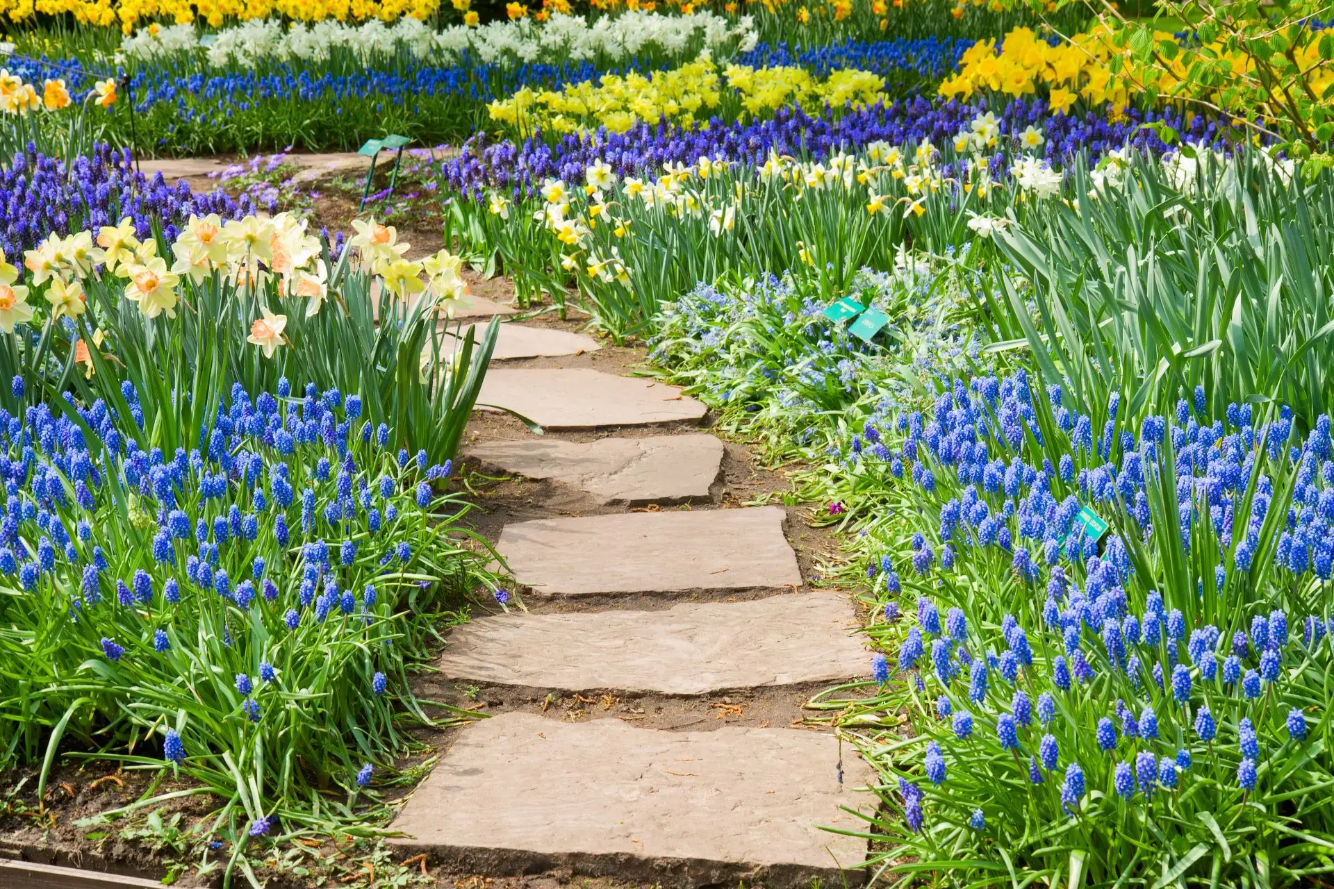 wie man einen Weg im Garten anlegt